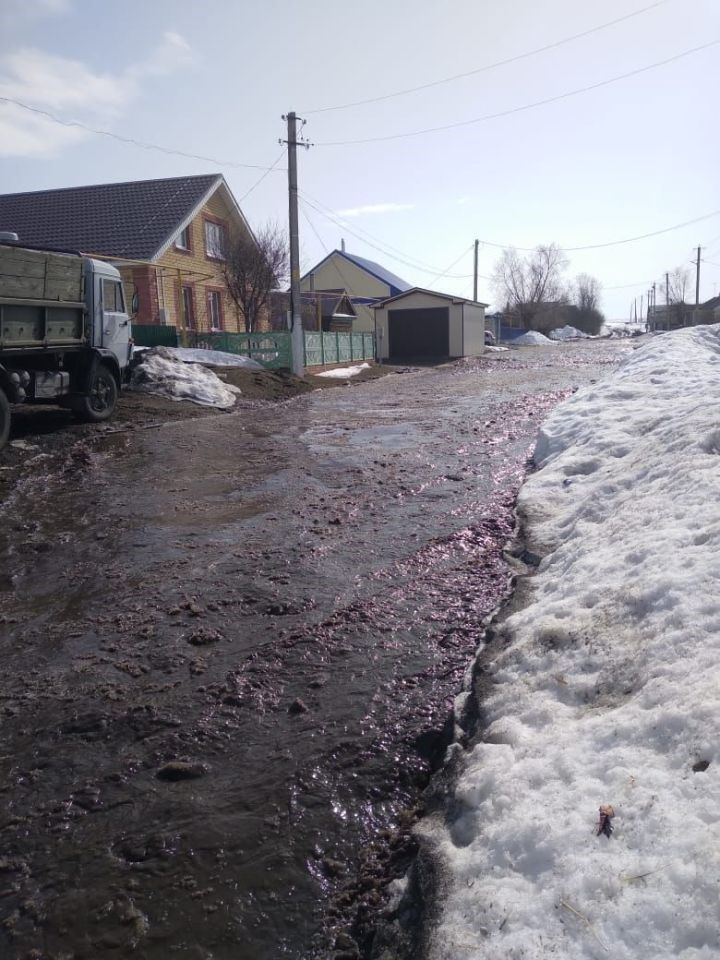 В соседнем с Тетюшами районе талыми водами затопило село