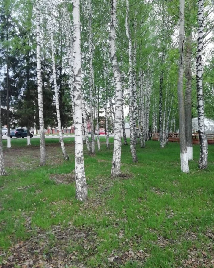О погоде в Тетюшах 14 мая: заморозки на почве и без осадков
