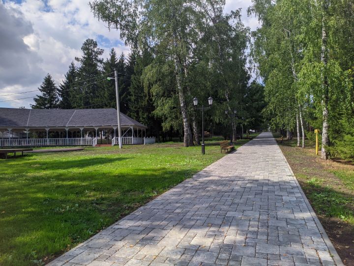 О погоде в Тетюшах 20 июля: днем воздух прогреется до +28˚