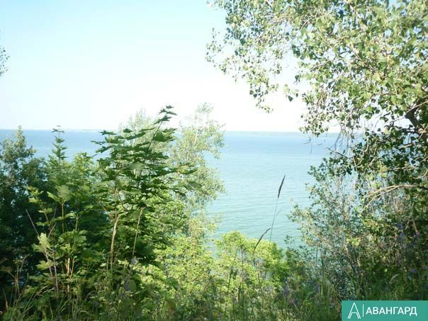 Погода в Тетюшах 14 сентября