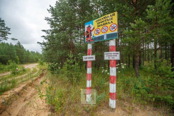 В Татарстане по нацпроекту строятся и реконструируются дороги противопожарного назначения
