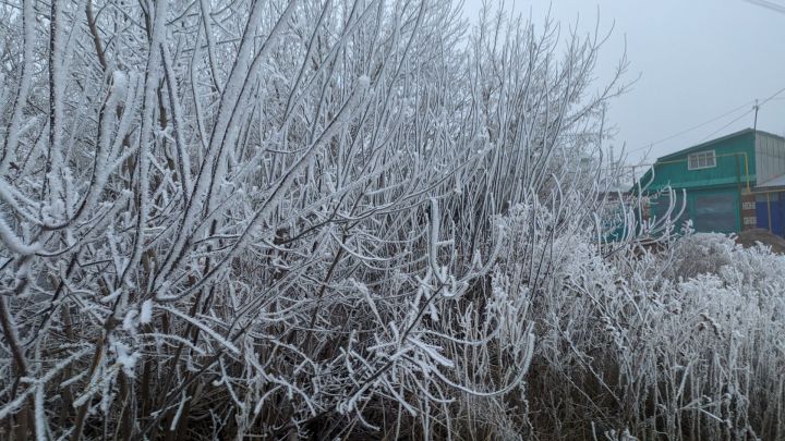 В Тетюшах 11 января прогнозируется слабый мороз