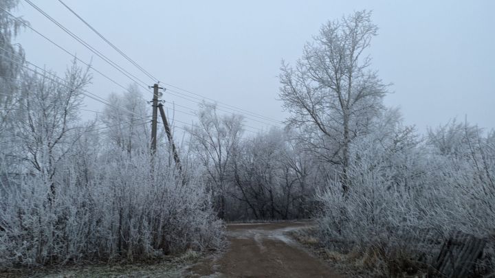 Синоптики предупредили о сильной метели в Татарстане