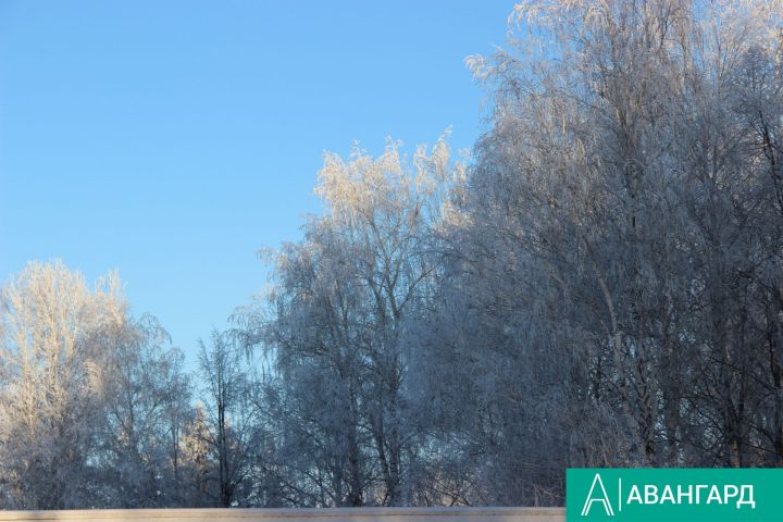 В Татарстане в ночные часы похолодает до -13˚