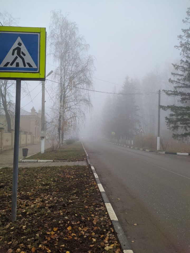 Предупреждение о тумане в Татарстане: советы водителям и жителям