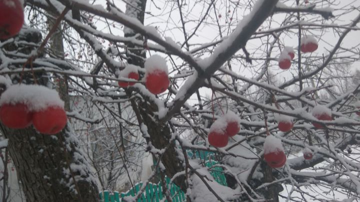 22  декабря - Зимнее Солнцестояние: День Света Возвращается