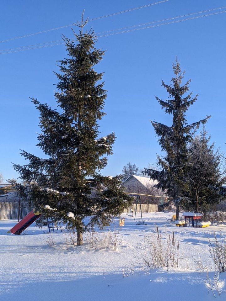 В Тетюшском районе Татарстана прогнозируется мороз до -10˚