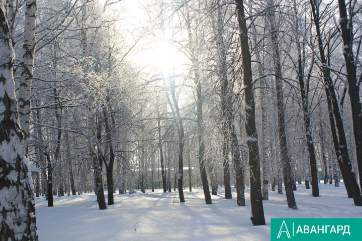 Какая погода будет в Тетюшском районе 19 февраля