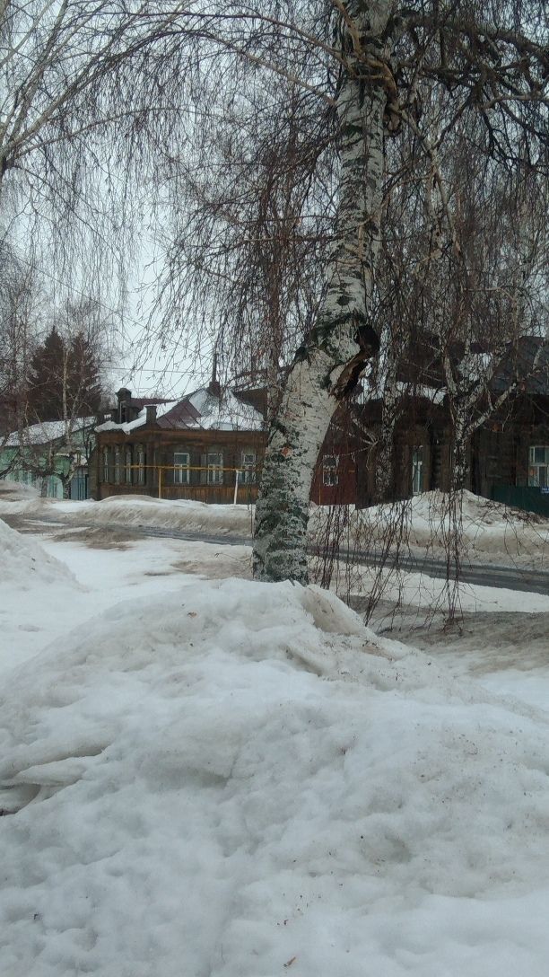 Федот Ветронос: традиции и приметы 15 марта по народному календарю