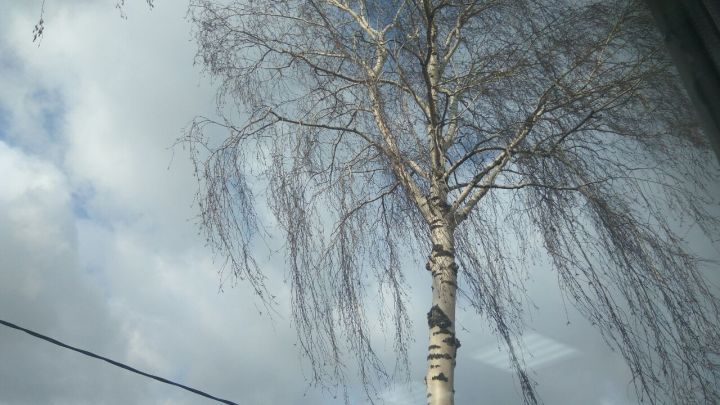 Прогноз погоды по Татарстану на 26 марта 2025 года