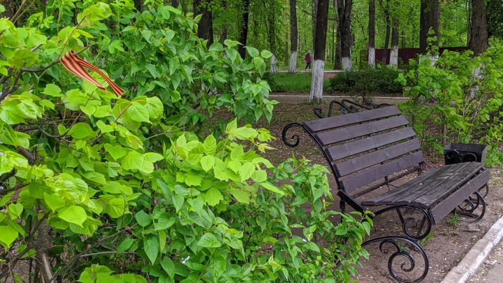 Приметы на 14 мая: ясное небо предвещает теплое лето