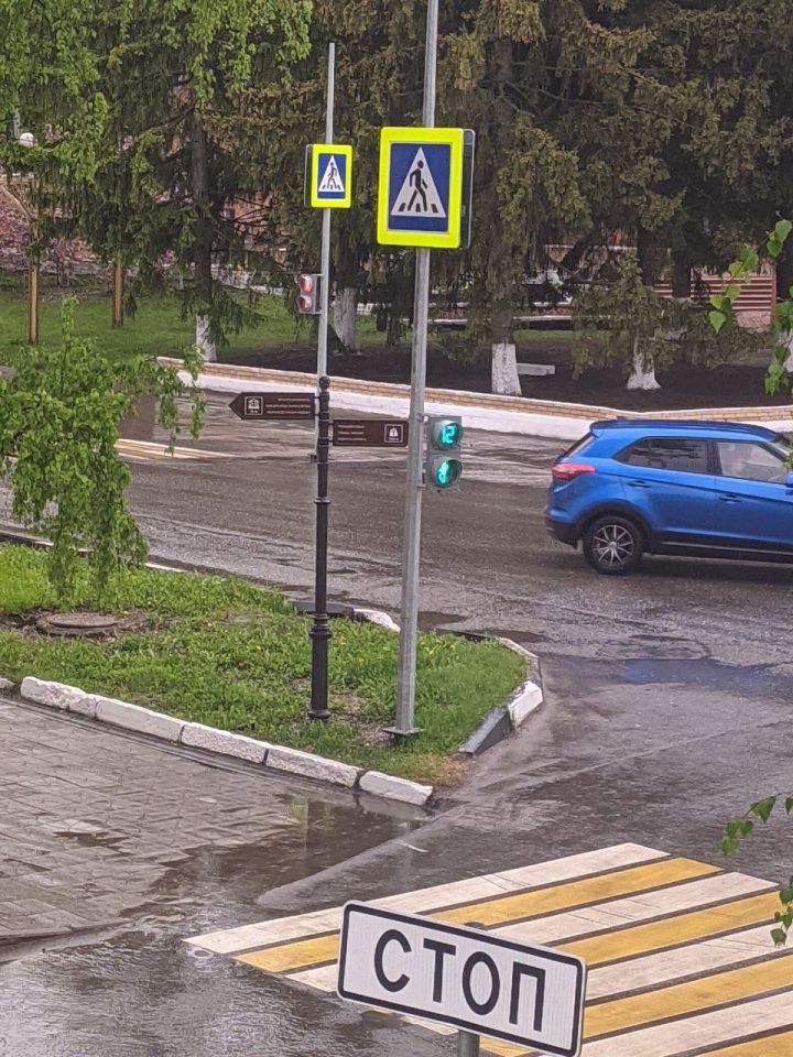 Урок дорожной безопасности провели в библиотеке села Большие Атряси