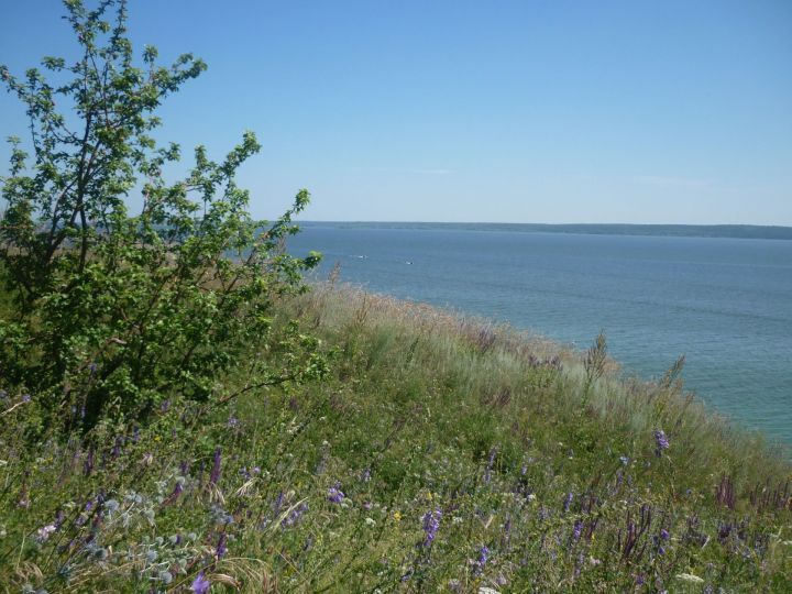 Погода по Тетюшскому району 16 мая: дождь, гроза и сильный ветер