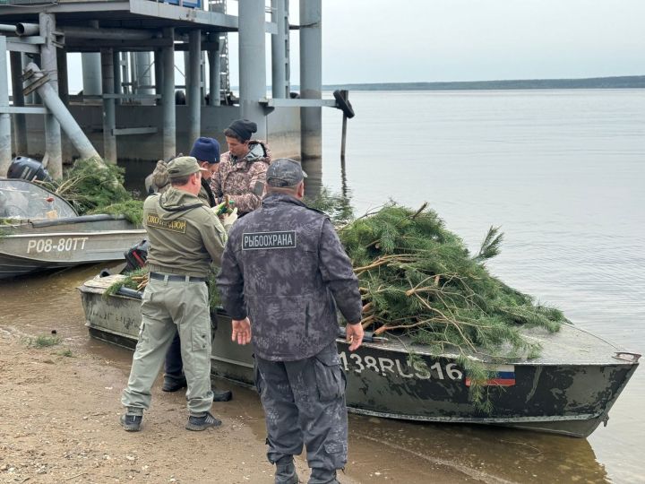 В Тетюшском районе создали комфортные условия для нереста рыбы