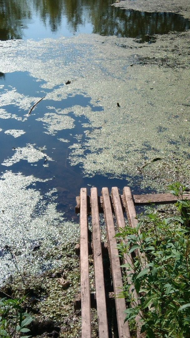 Во вторник татарстанцев ждут дождь и сильный ветер