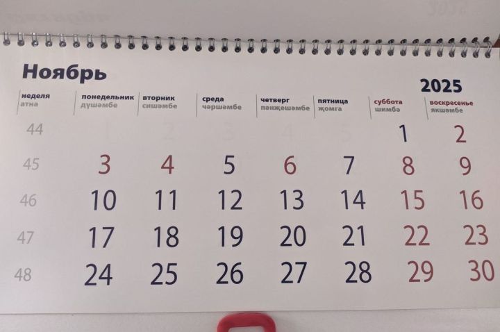 Самая короткая рабочая неделя в ноябре у татарстанцев в 2025 году — всего два дня