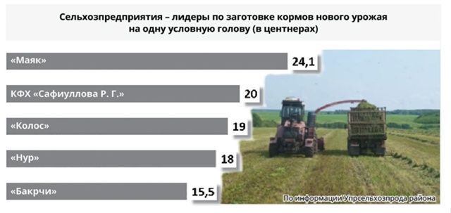Работает зеленый конвейер