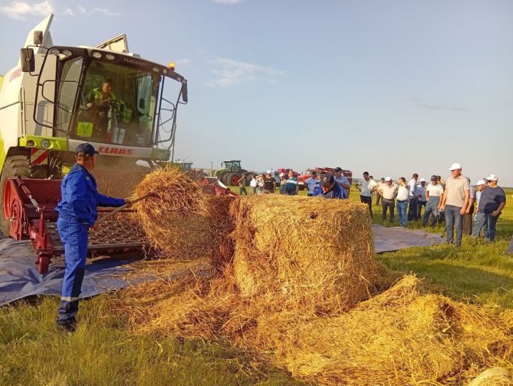 Урожай обещает быть щедрым