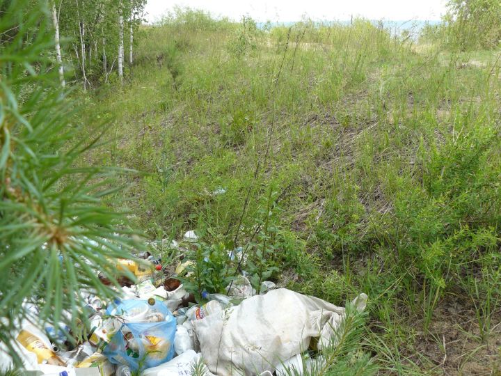 Экоурок «Чистый город» в детском саду «Сказка» города Тетюши