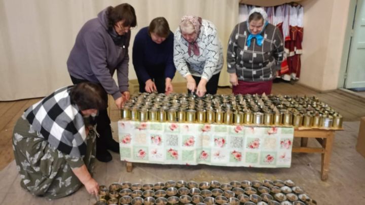Жители Тетюшского района помогают бойцам СВО