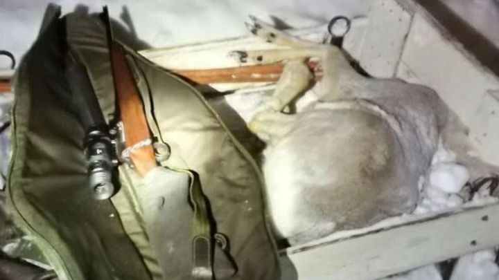 В Татарстане задержали мужчин с незаконно добытой косулей