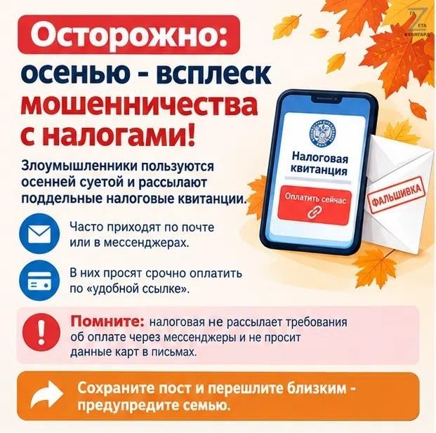 Осенью наблюдается всплеск мошенничества с налогами