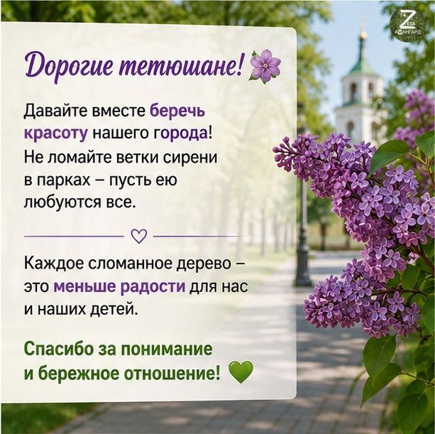 Цветение сирени: бережём красоту Тетюш
