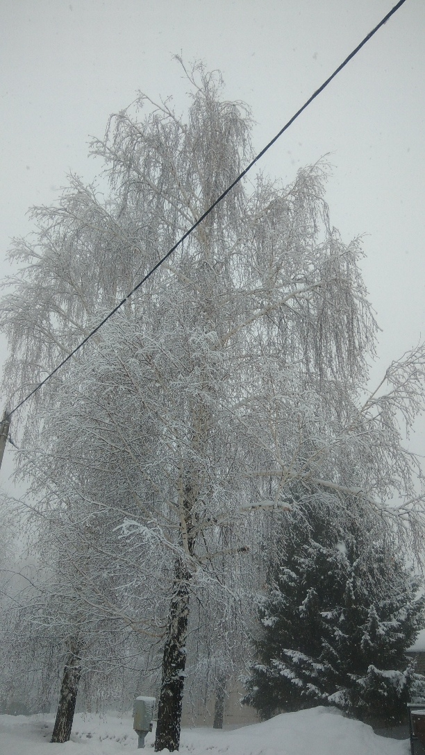 Холодный ветер переносил снег. Снег в Татарстане сегодня фото сейчас.