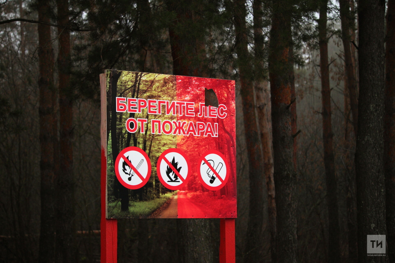 Берегите лес от пожара. фото Татар-информ