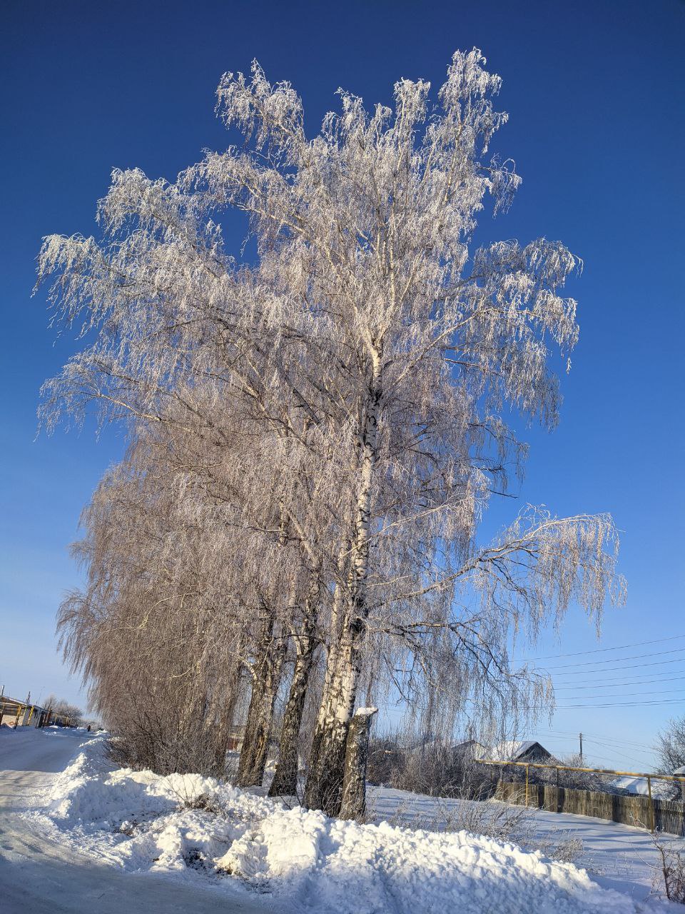 фото: Алсу Зиганьшиной