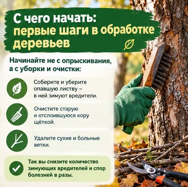 Осенняя обработка сада. Фото сгенерировано нейросетью