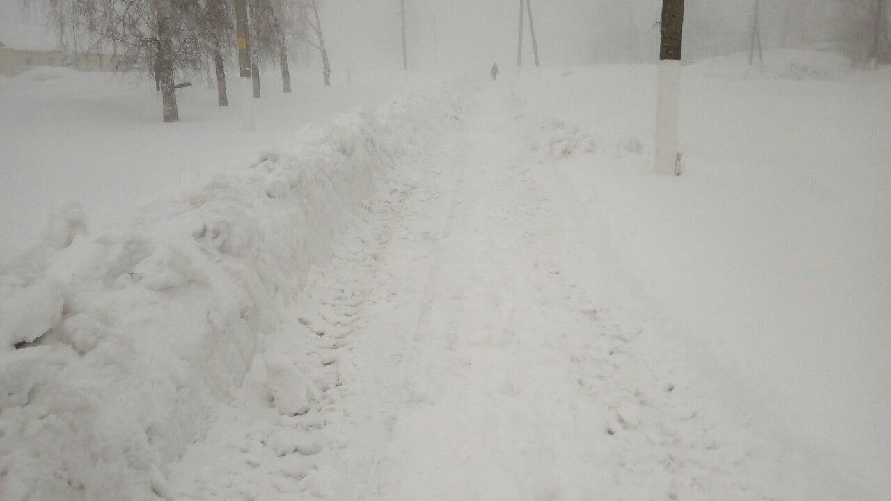 Возврат зимы не означает, что в ней имелся ... перерыв