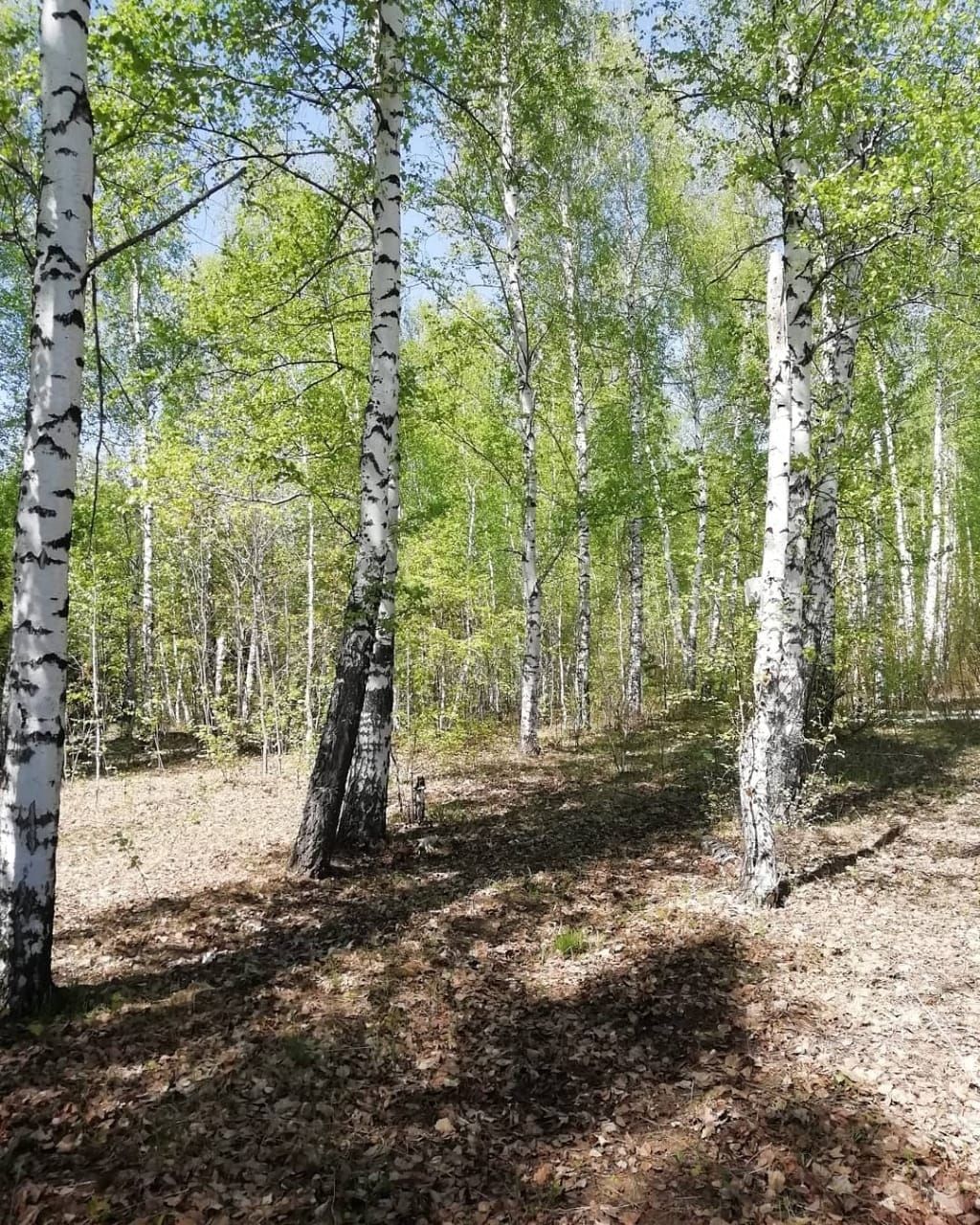 Федот овсяник картинки с надписями