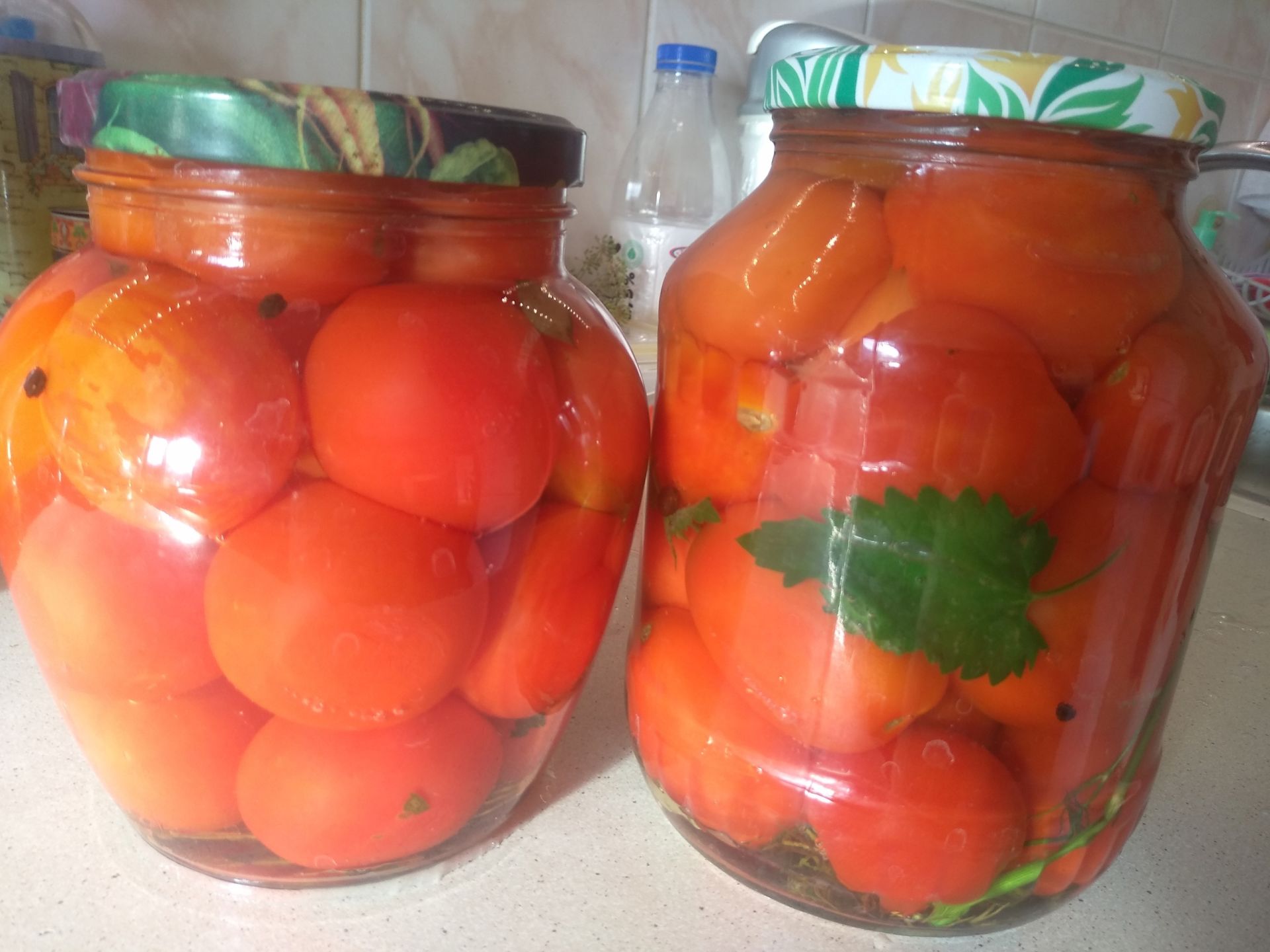 рецепт помидор дольками с раст маслом фото 69