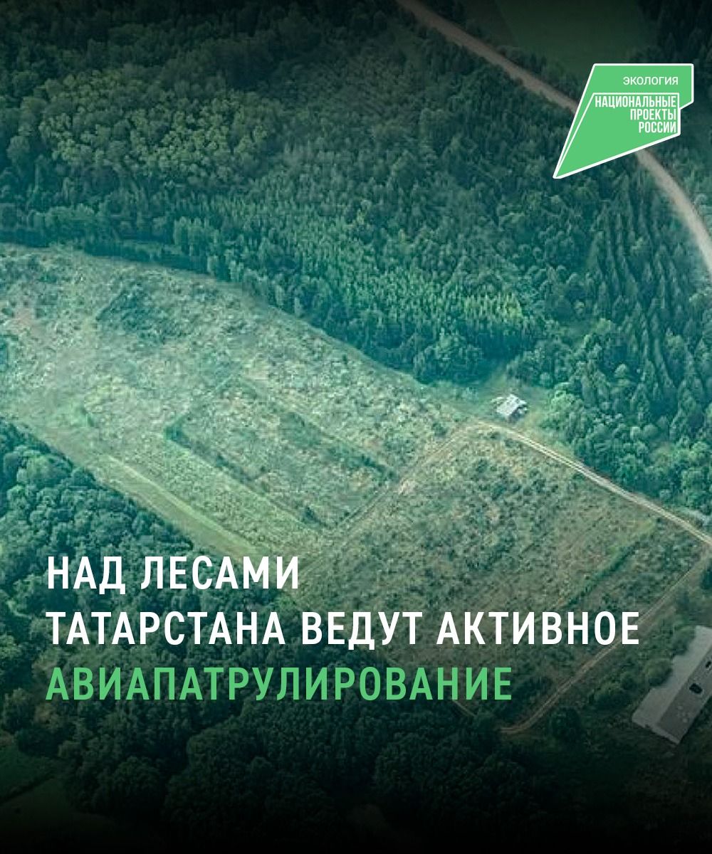 В рамках нацпроекта в лесах Татарстана провели 30 авиапатрулирований