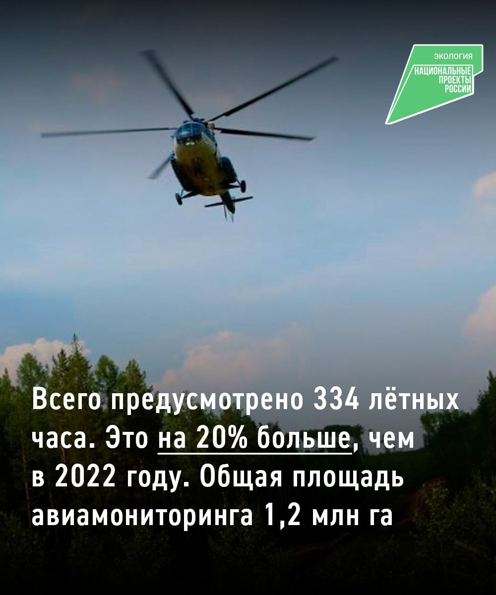 В рамках нацпроекта в лесах Татарстана провели 30 авиапатрулирований