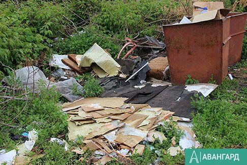 Огромную свалку обнаружили жители поселка под Казанью
