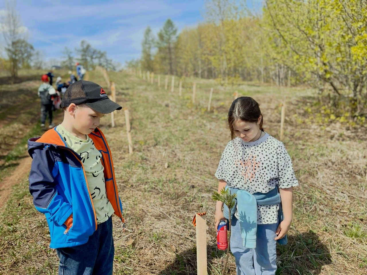 Рябины в память: школьники из Тетюш озеленили Долгую Поляну