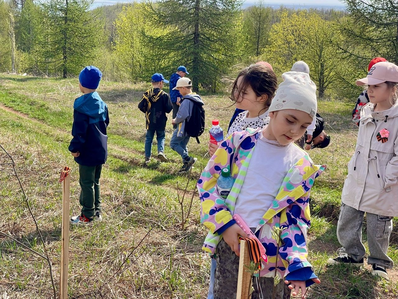Рябины в память: школьники из Тетюш озеленили Долгую Поляну