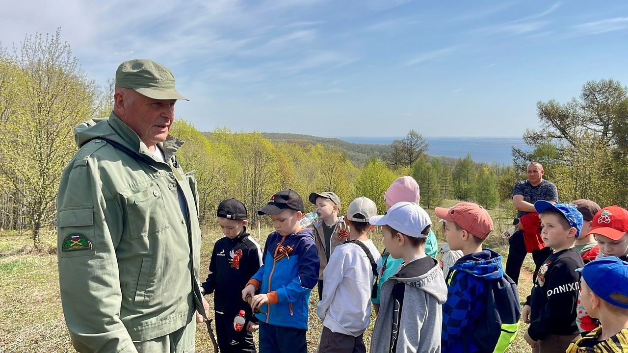 Рябины в память: школьники из Тетюш озеленили Долгую Поляну
