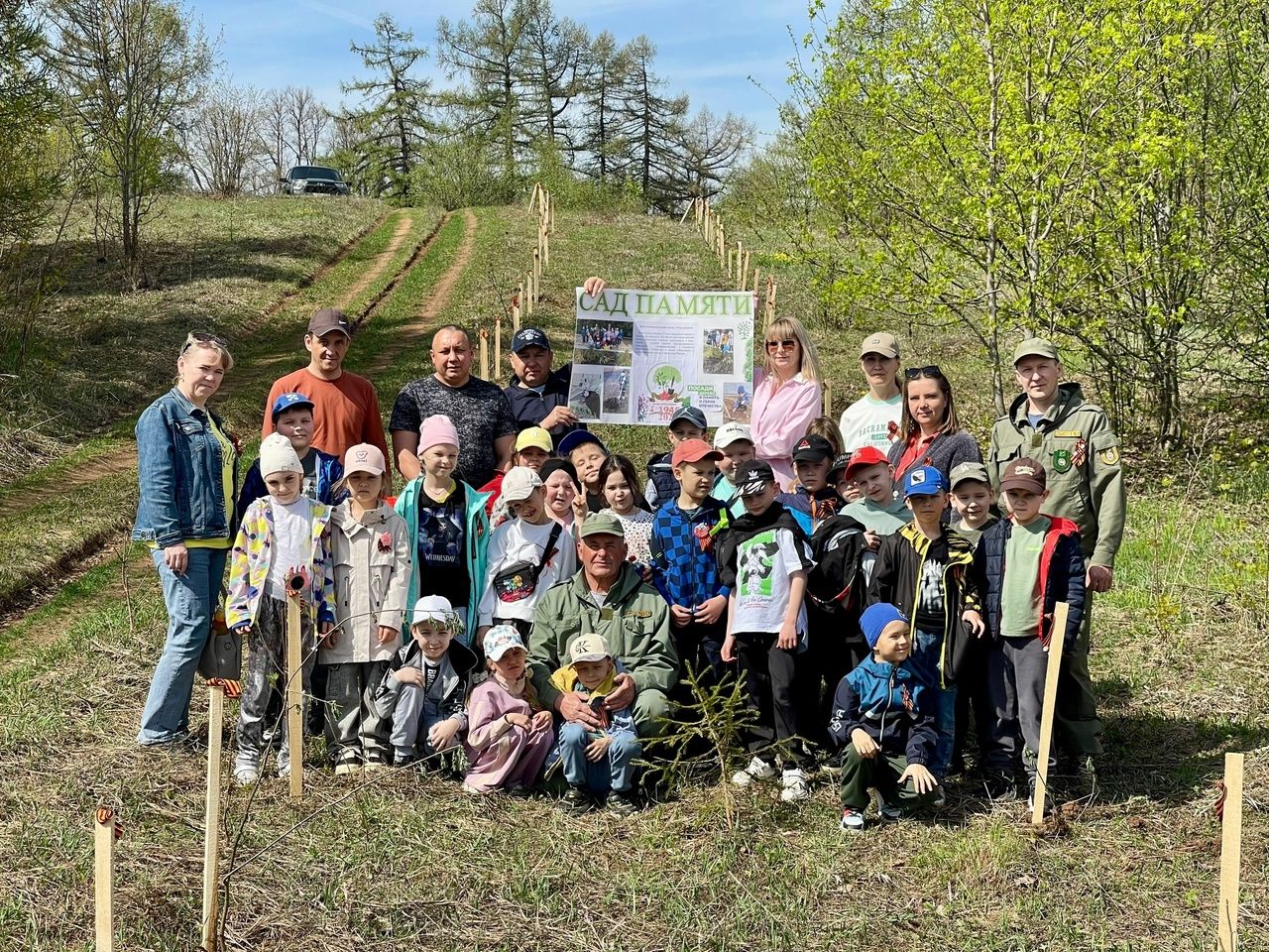 Рябины в память: школьники из Тетюш озеленили Долгую Поляну