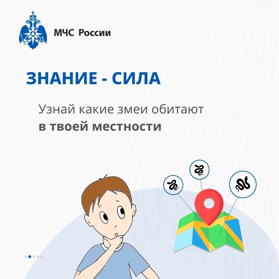 Осторожно, змеи! Советы от МЧС России