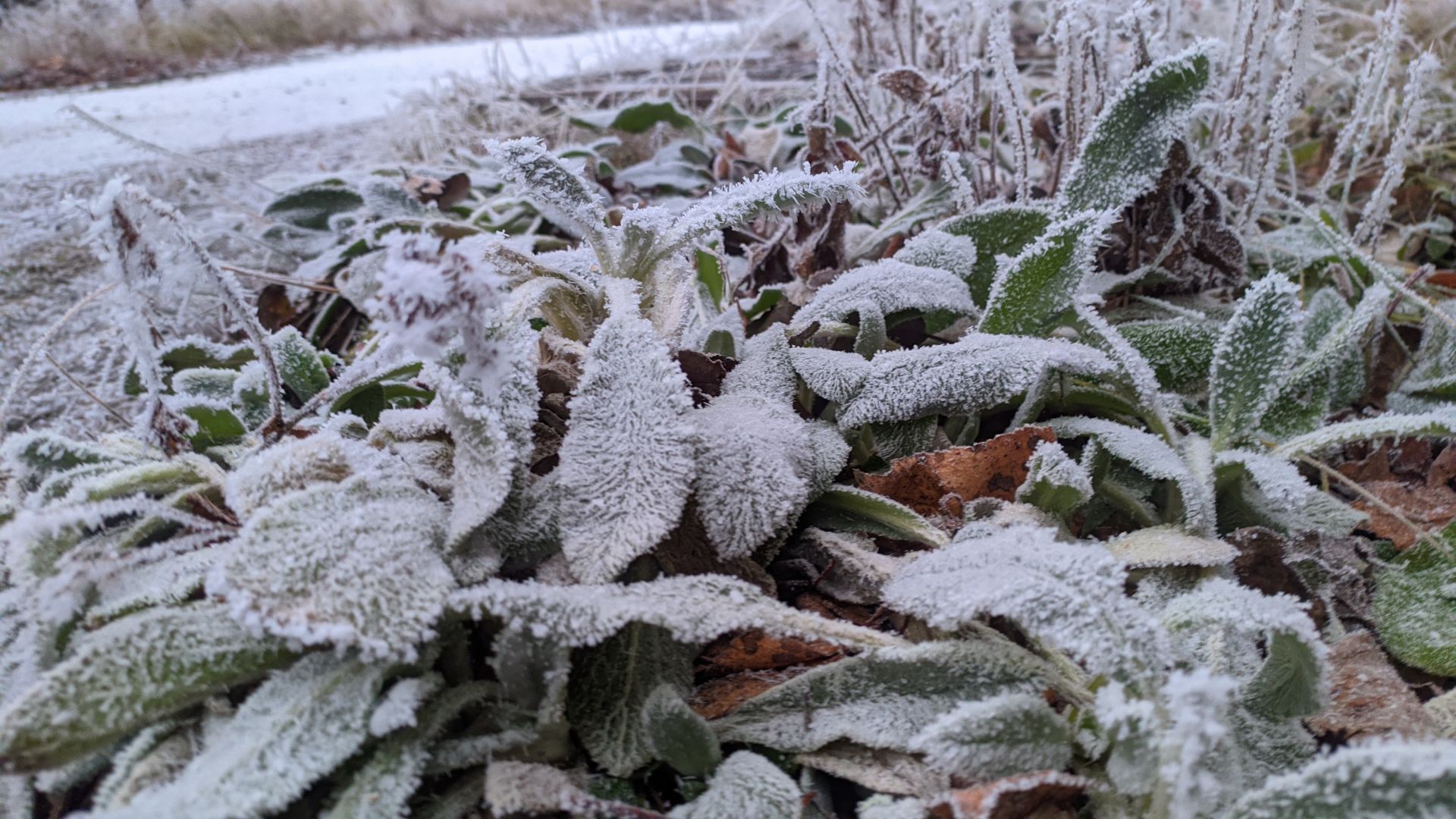 Днем в Татарстане, 15 января, ожидается до −17 °C