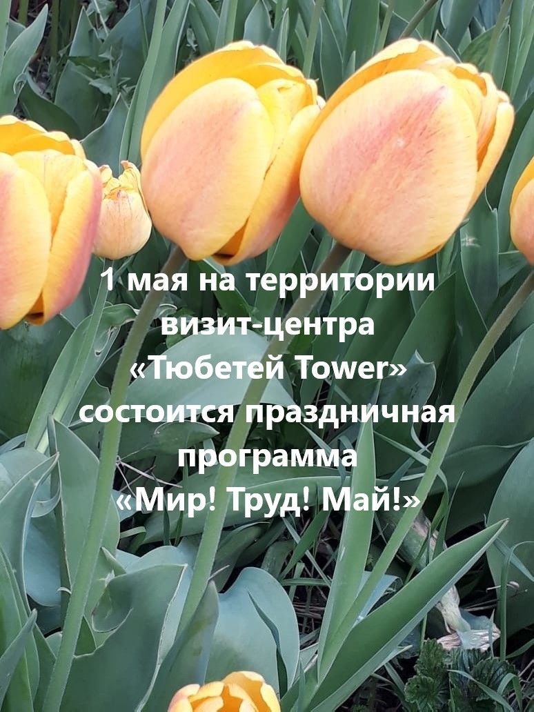Тәтештә «Тынычлык! Хезмәт! Май!» дип исемләнгән бәйрәм чарасы узды