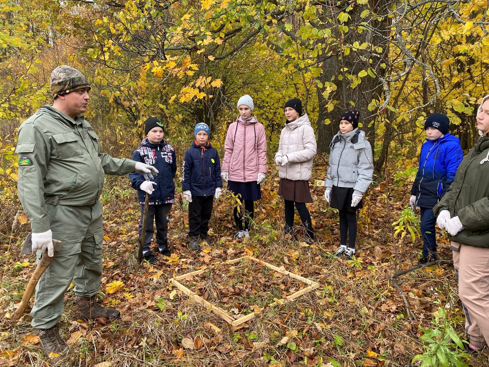 Установили кормушки  для зайцев и лосей