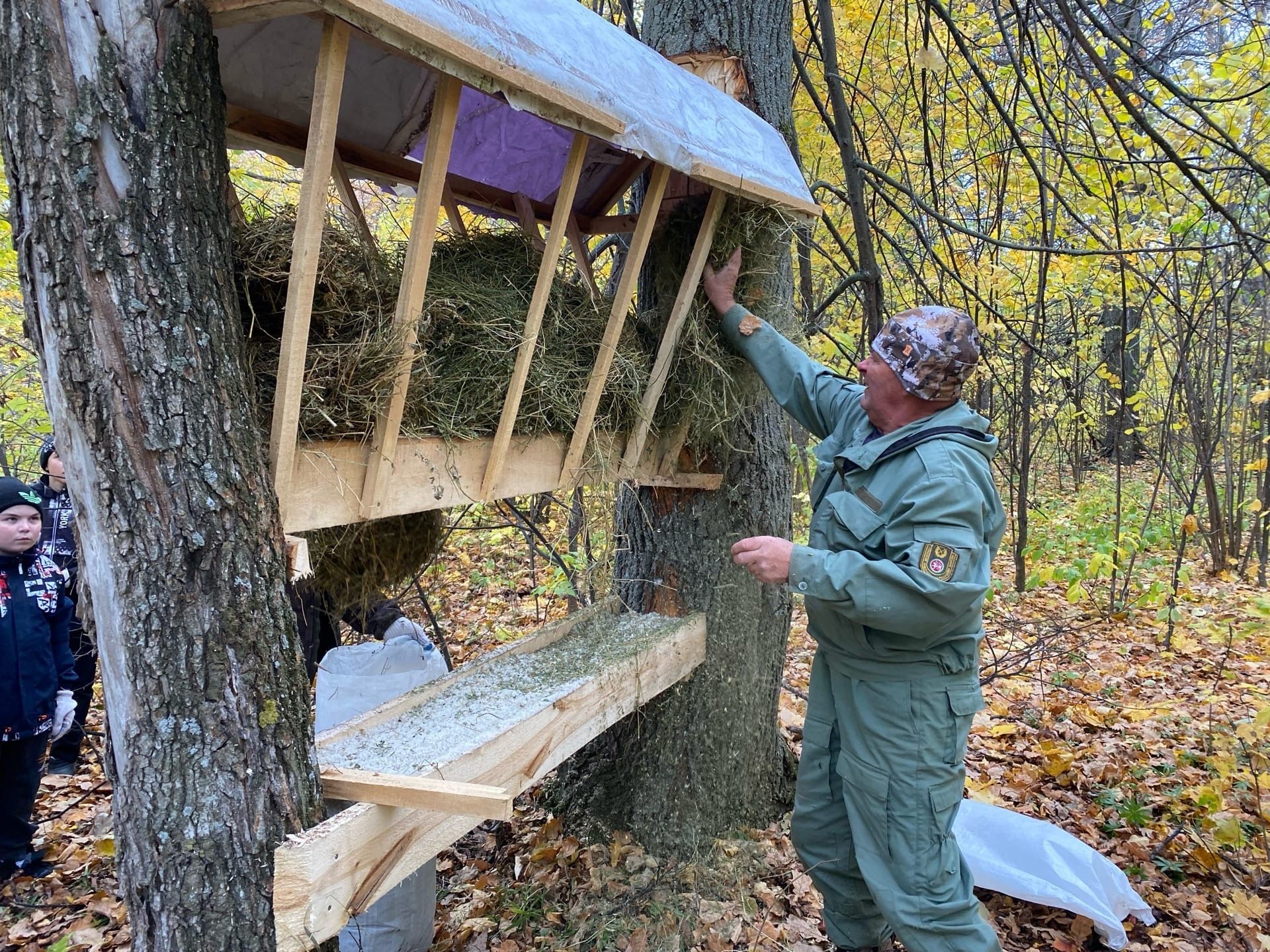 Установили кормушки  для зайцев и лосей