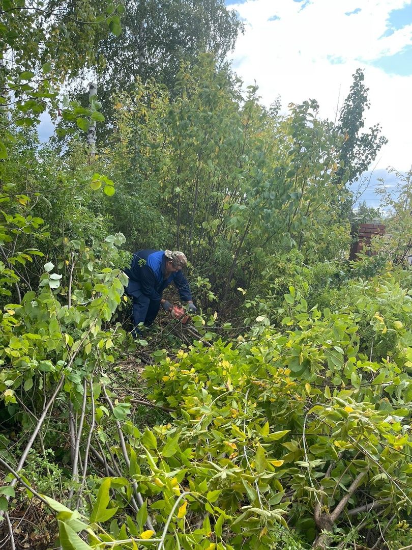 Субботник на городском кладбище