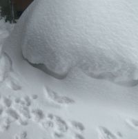На телефон 112 поступило сообщение, что в Казани детей завалило снегом с крыши
