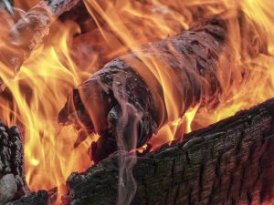 Прогноз высокой пожарной опасности лесов на территории Тетюшского и других районов Республики Татарстан