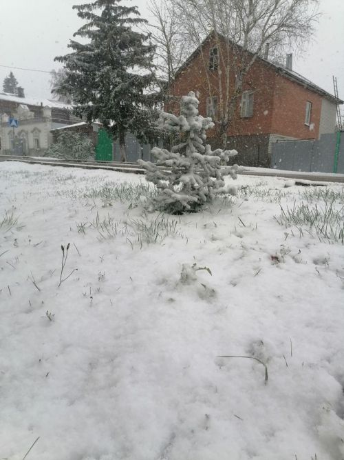 Погода в Тетюшах на 26 января 2023 года